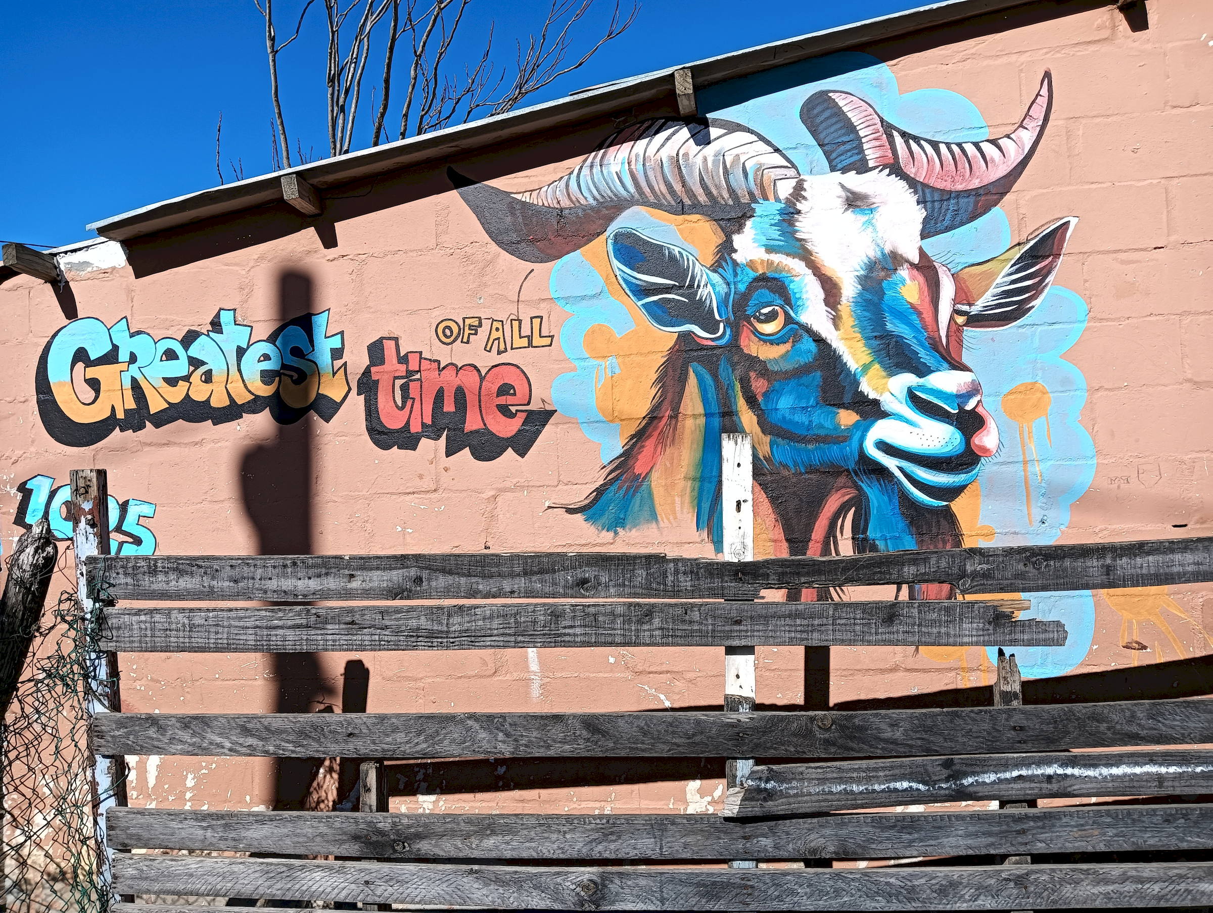 Sir Lowry's Pass Village GOAT